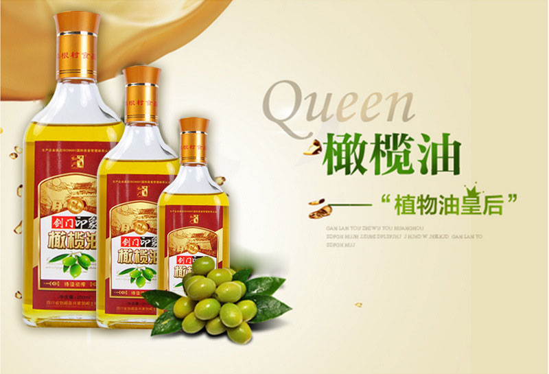 剑阁县 特级初榨橄榄油250ml/瓶装植物油食用油